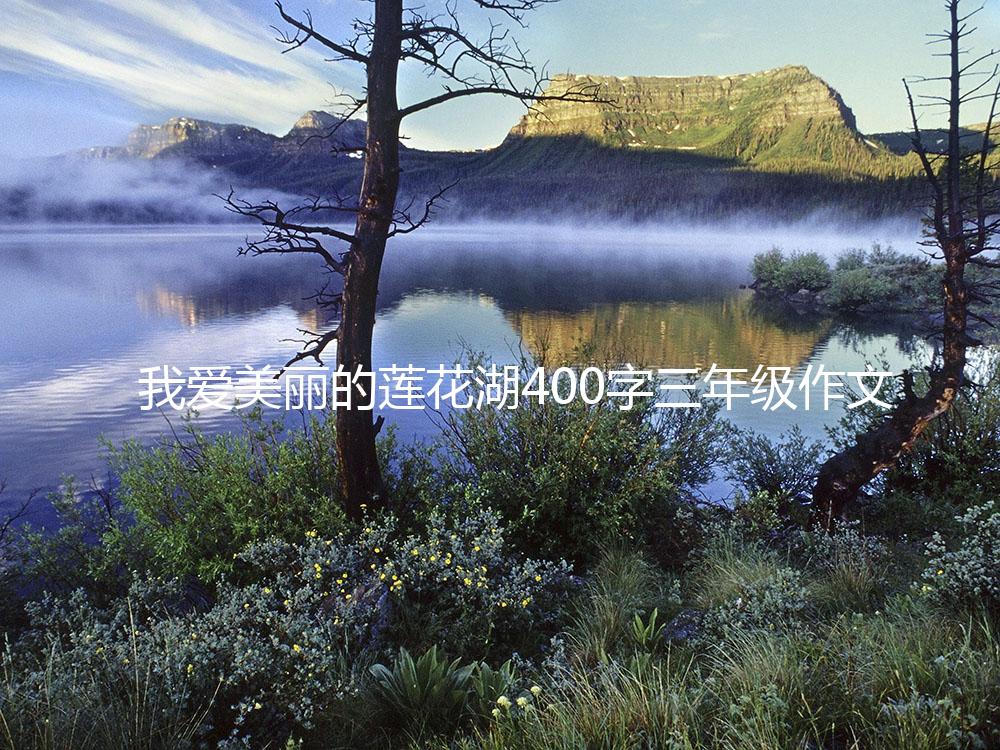 我爱美丽的莲花湖400字三年级作文