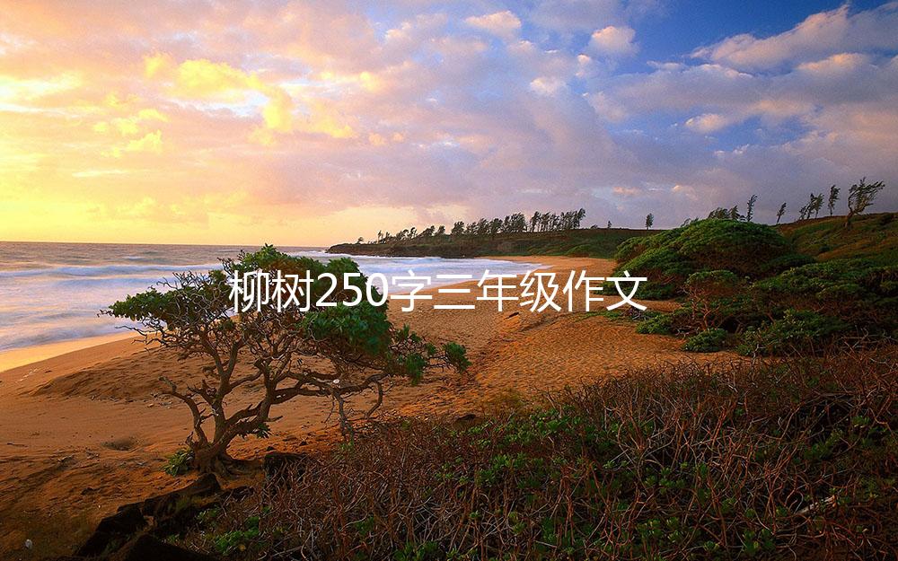 柳树250字三年级作文