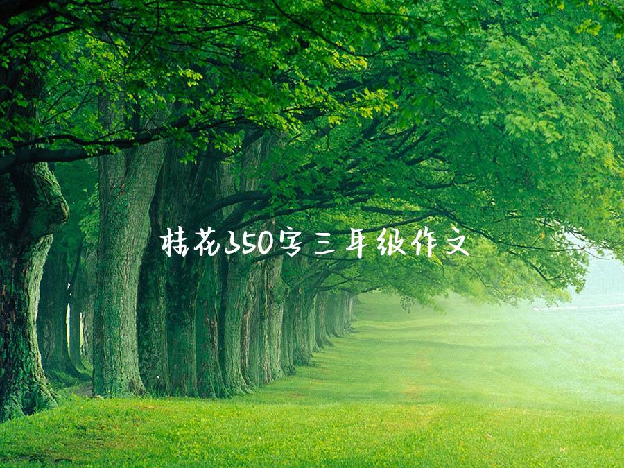 桂花350字三年级作文