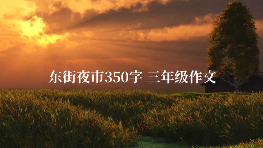 东街夜市350字 三年级作文