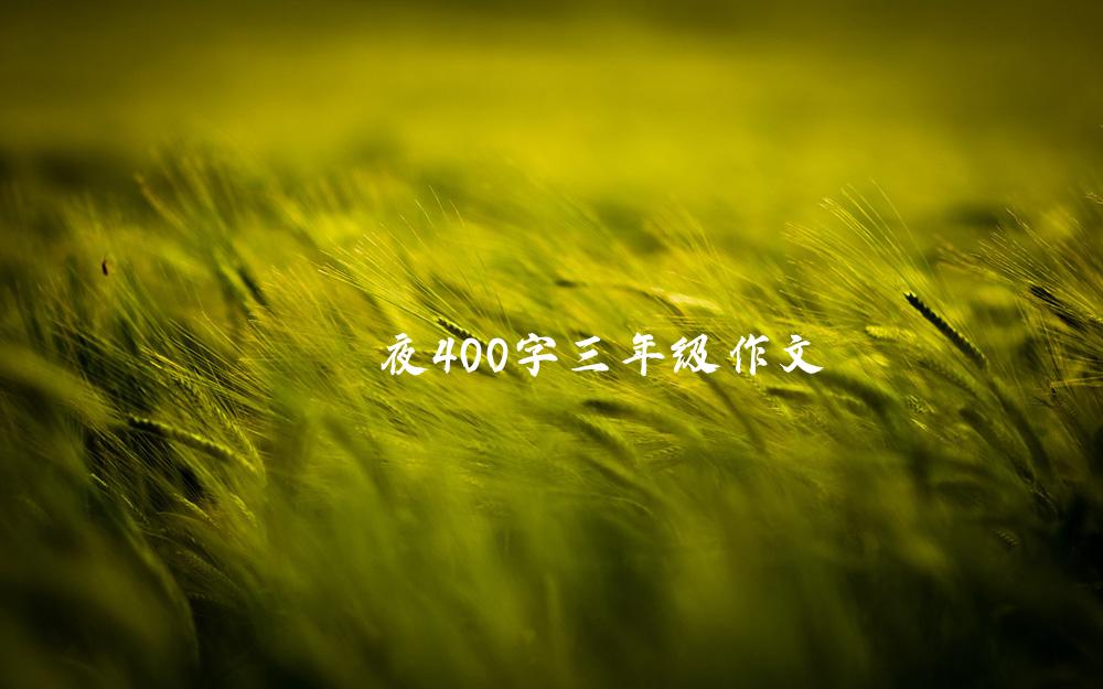 夜400字三年级作文