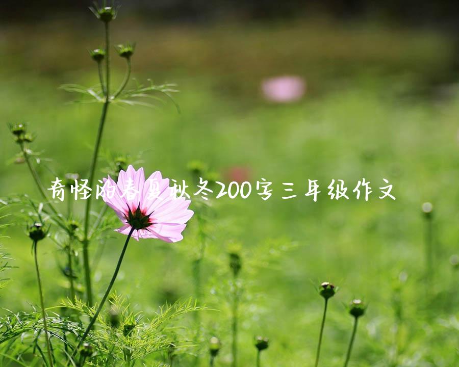 奇怪的春夏秋冬200字三年级作文