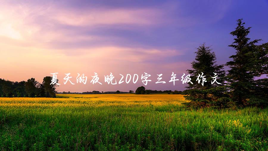 夏天的夜晚200字三年级作文