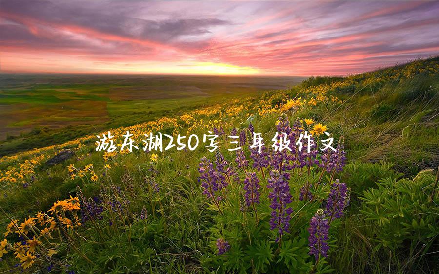 游东湖250字三年级作文