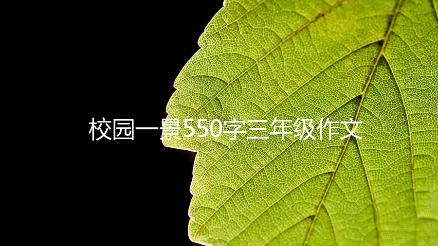 校园一景550字三年级作文