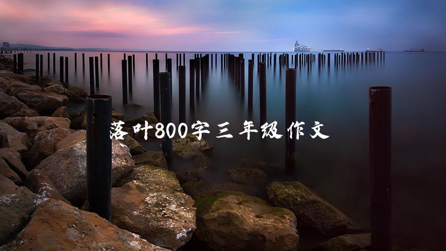 落叶800字三年级作文