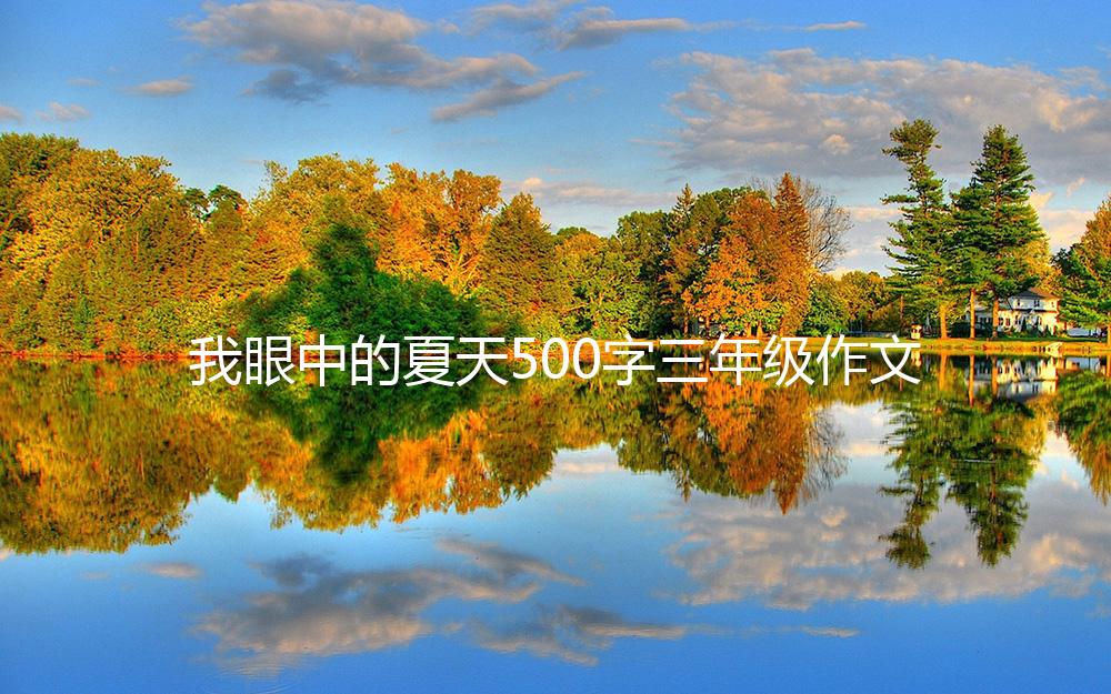 我眼中的夏天500字三年级作文