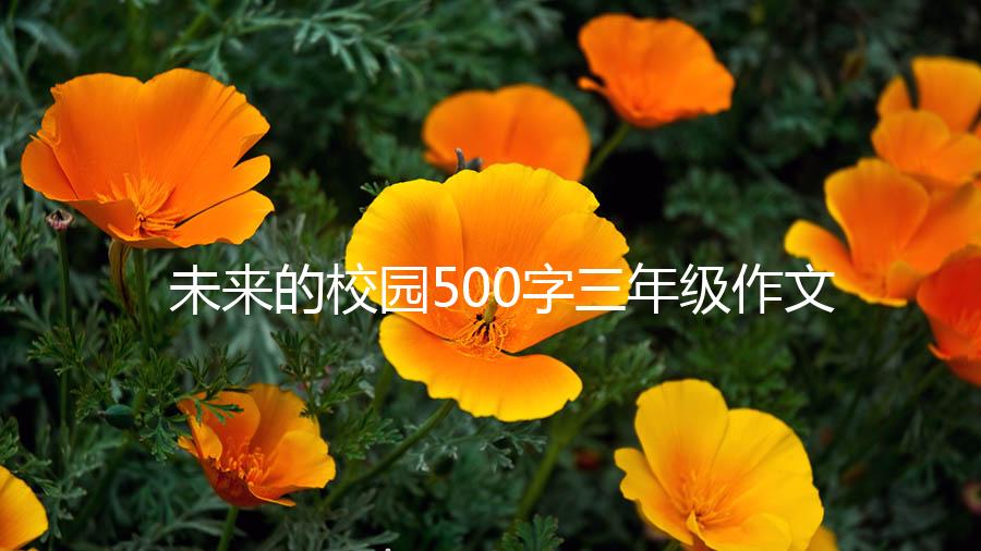 未来的校园500字三年级作文