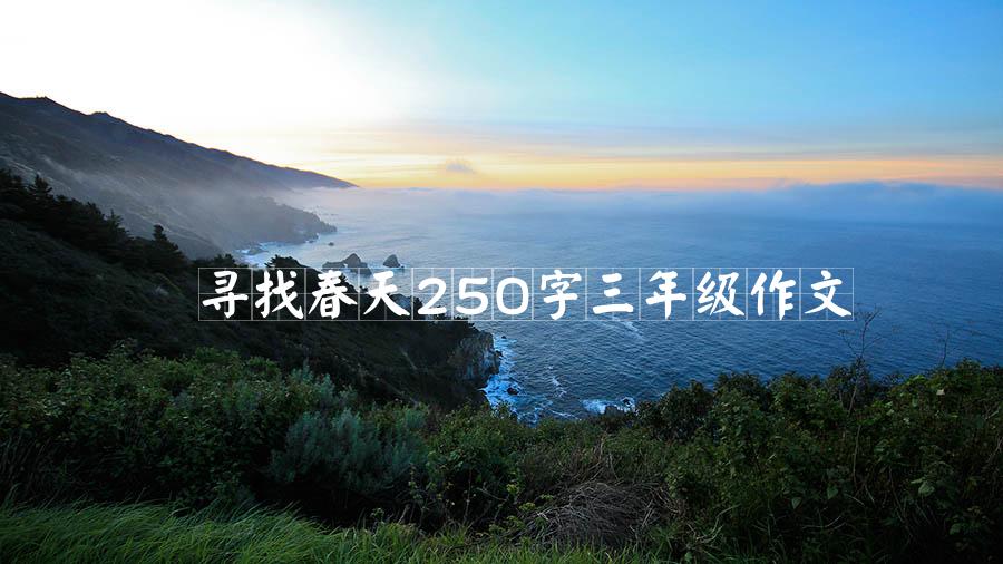 寻找春天250字三年级作文