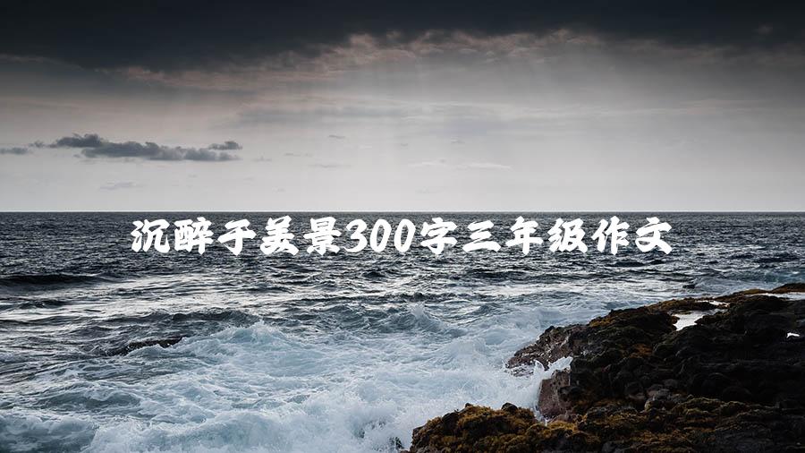 沉醉于美景300字三年级作文