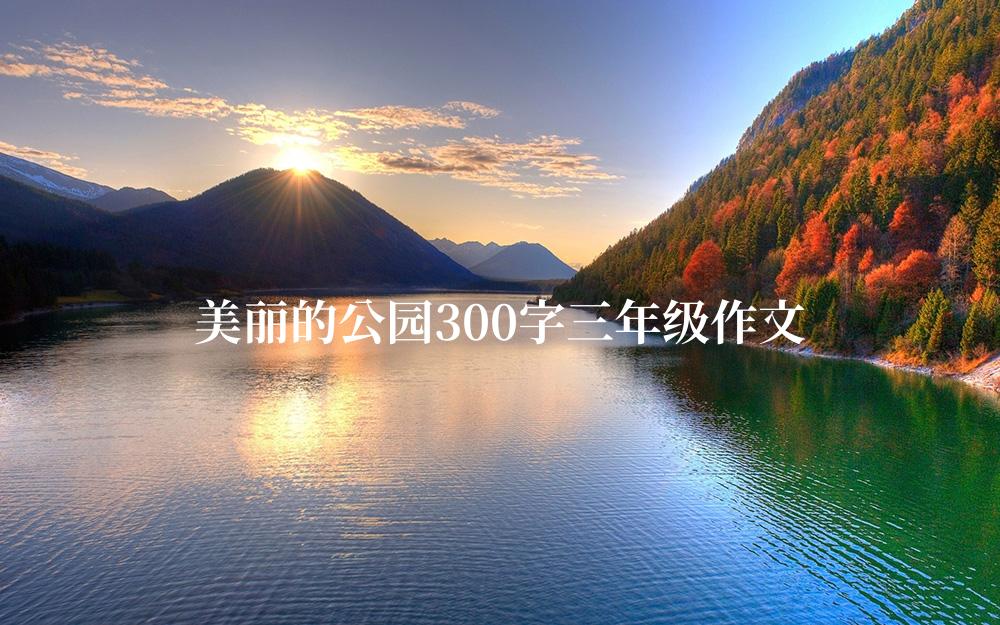 美丽的公园300字三年级作文