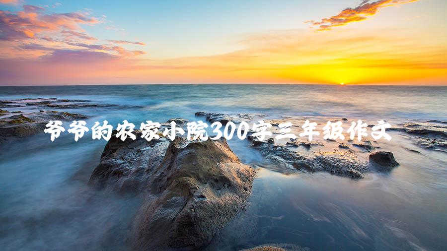 爷爷的农家小院300字三年级作文