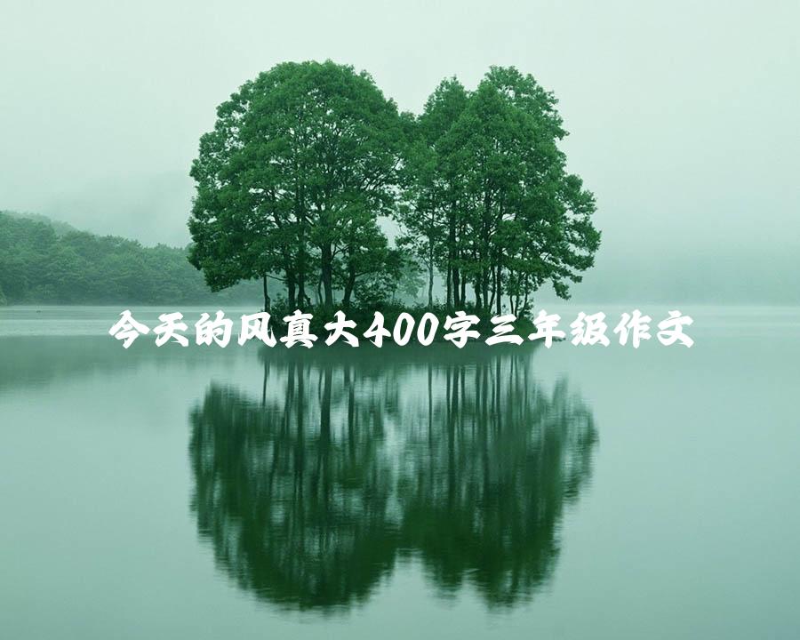 今天的风真大400字三年级作文