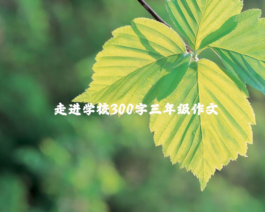 走进学校300字三年级作文