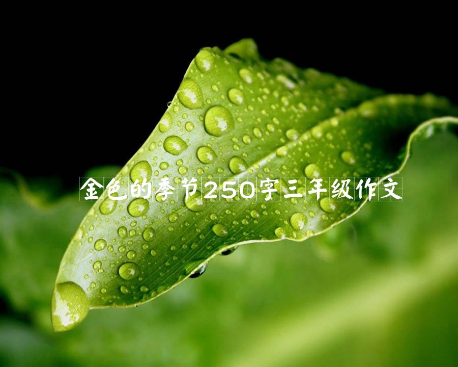 金色的季节250字三年级作文