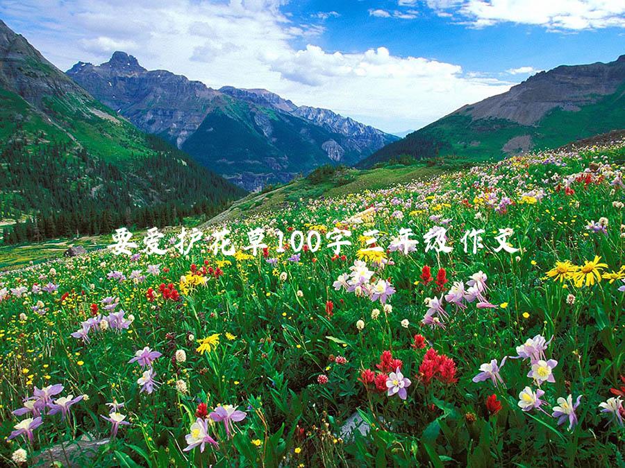 要爱护花草100字三年级作文