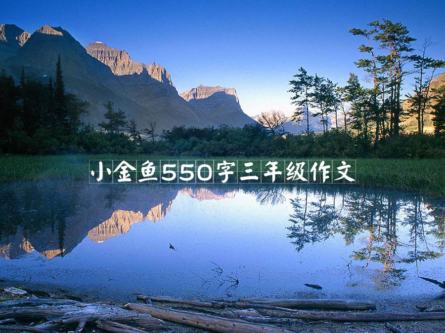 小金鱼550字三年级作文