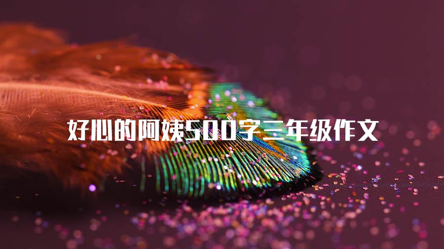 好心的阿姨500字三年级作文