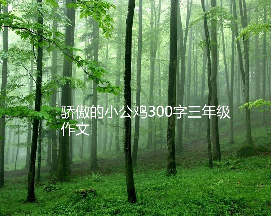 骄傲的小公鸡300字三年级作文