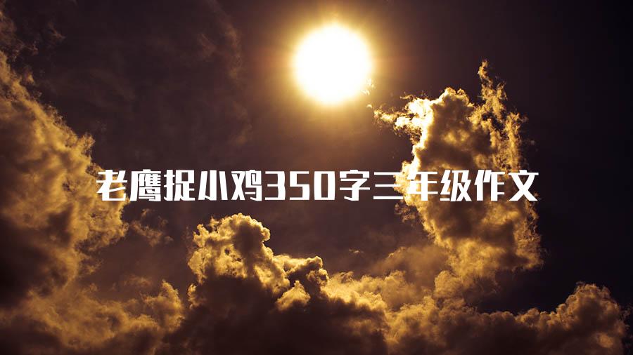 老鹰捉小鸡350字三年级作文