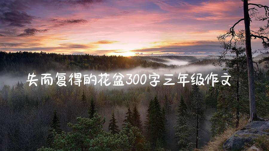 失而复得的花盆300字三年级作文