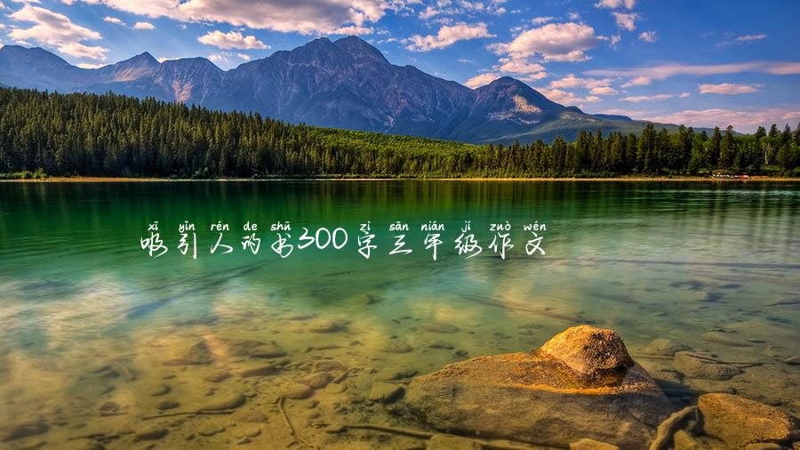 吸引人的书300字三年级作文