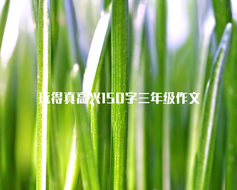 玩得真高兴150字三年级作文