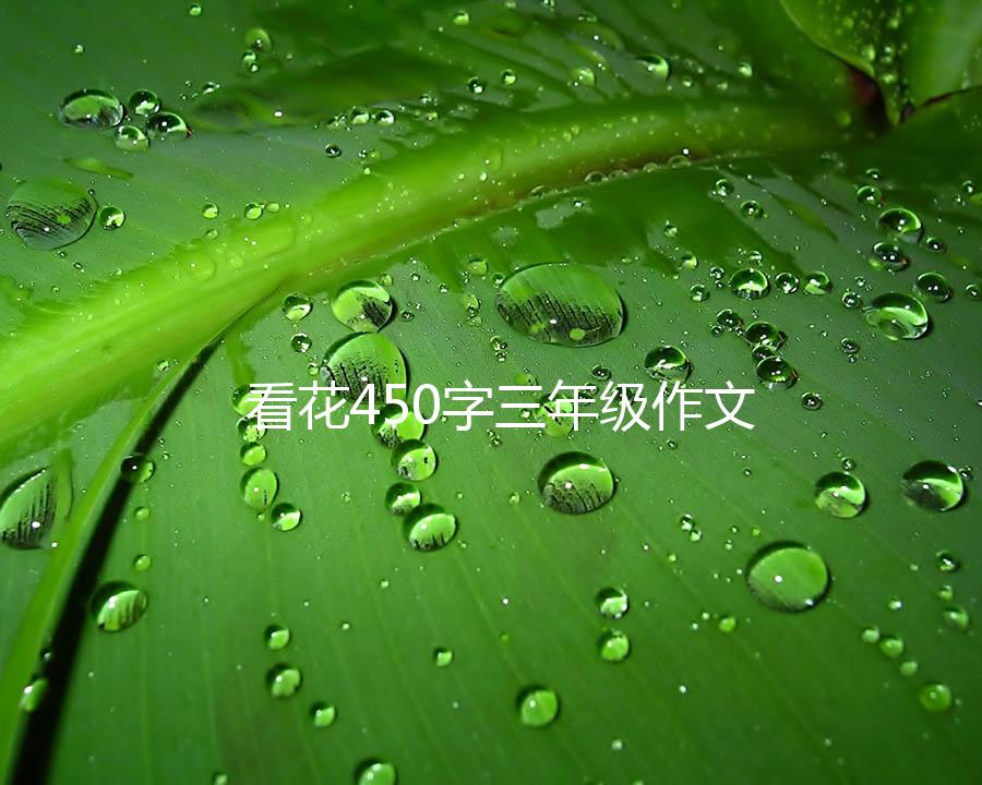 看花450字三年级作文