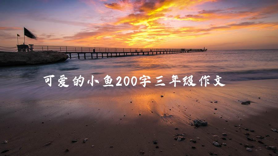 可爱的小鱼200字三年级作文