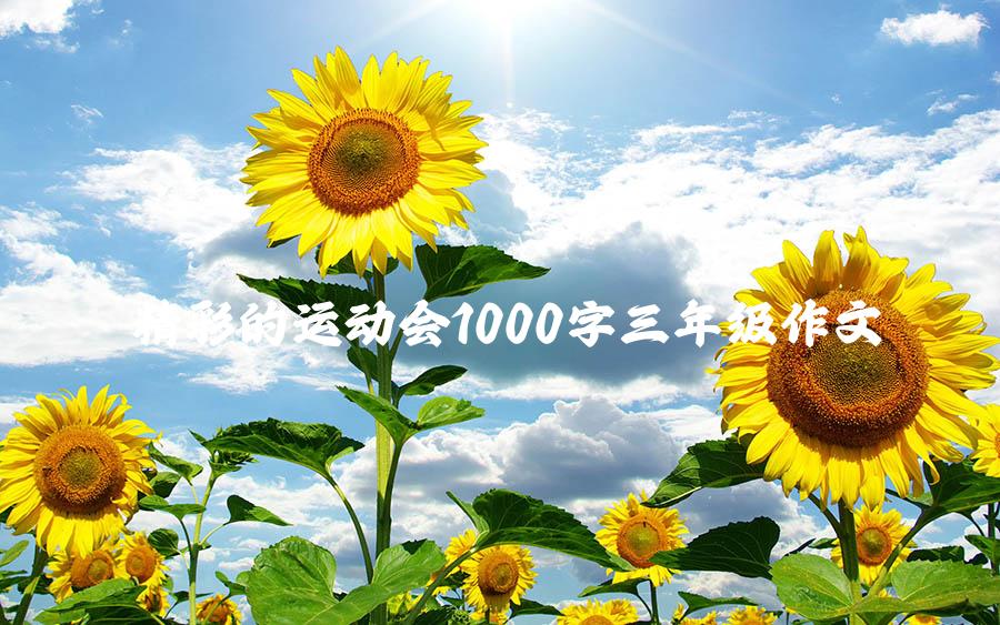 精彩的运动会1000字三年级作文