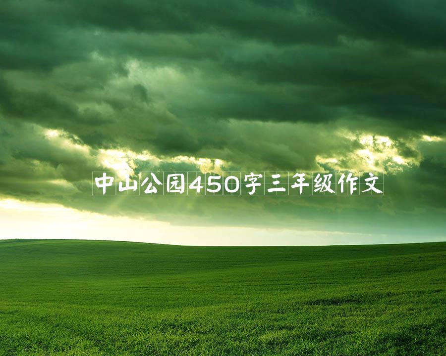 中山公园450字三年级作文