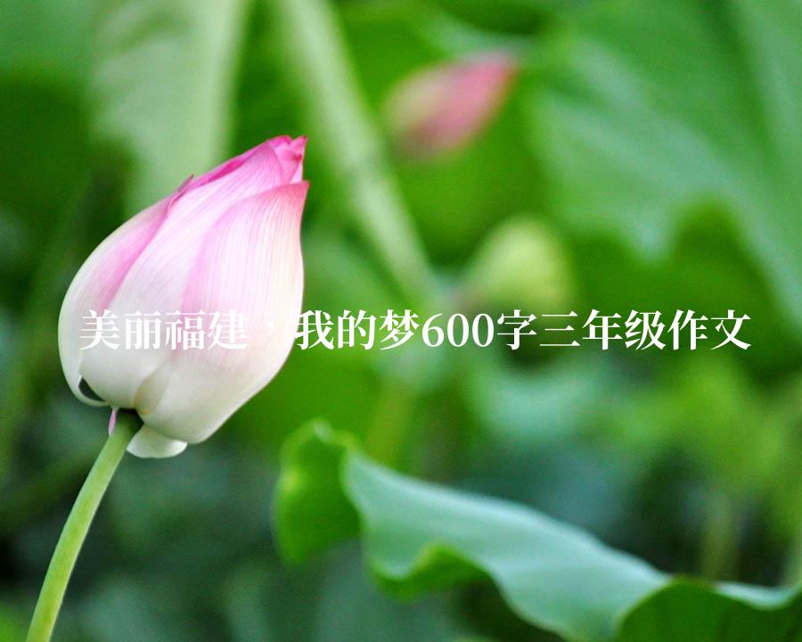 美丽福建，我的梦600字三年级作文