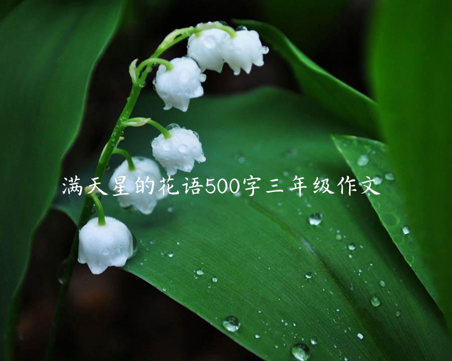 满天星的花语500字三年级作文