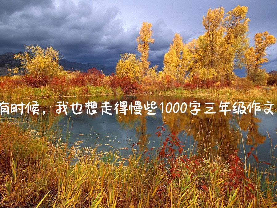 有时候，我也想走得慢些1000字三年级作文