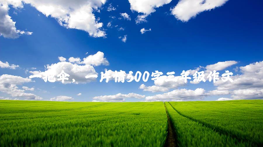 一把伞，一片情500字三年级作文