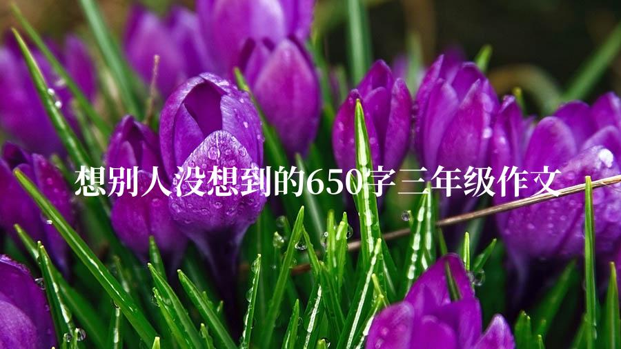 想别人没想到的650字三年级作文