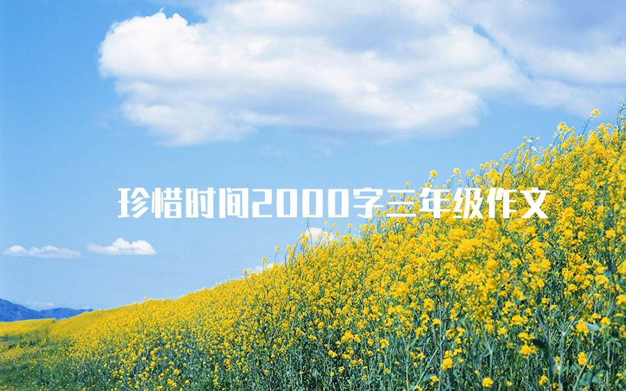 珍惜时间2000字三年级作文