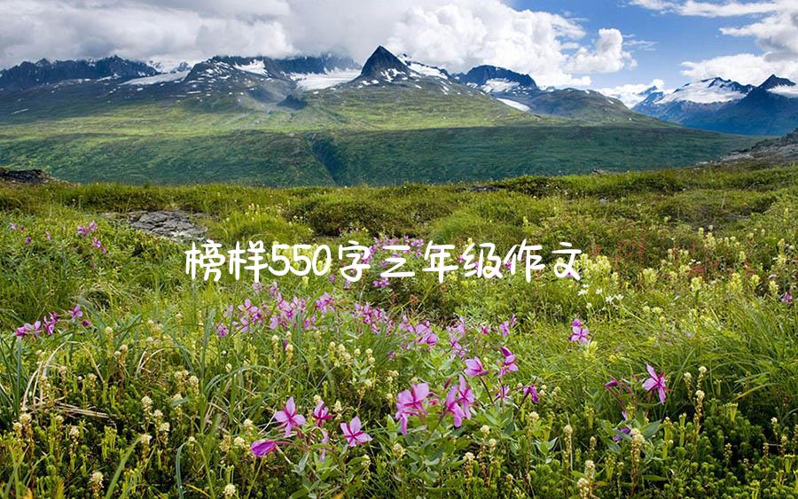 榜样550字三年级作文