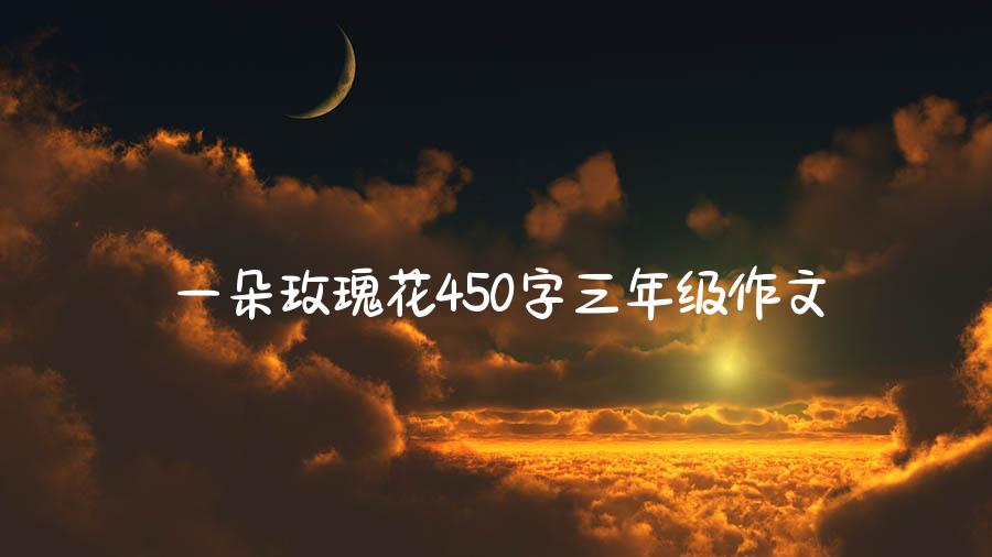 一朵玫瑰花450字三年级作文