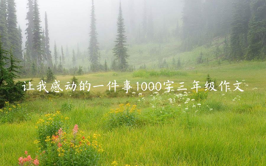 让我感动的一件事1000字三年级作文