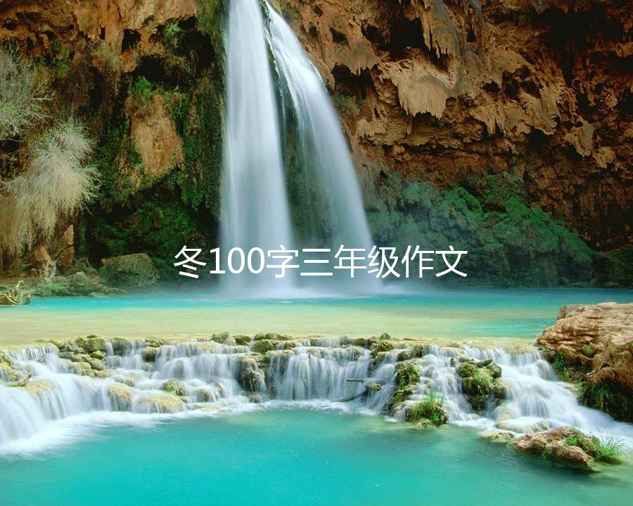 冬100字三年级作文