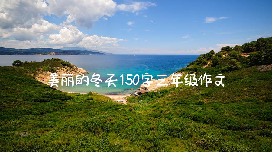 美丽的冬天150字三年级作文