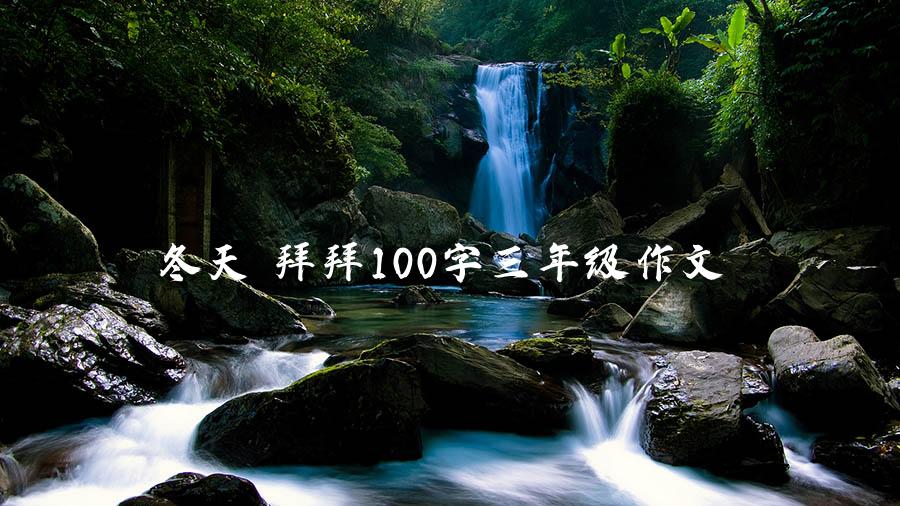 冬天 拜拜100字三年级作文