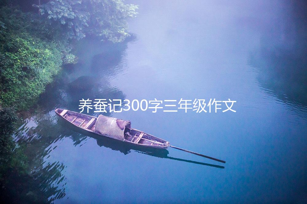 养蚕记300字三年级作文