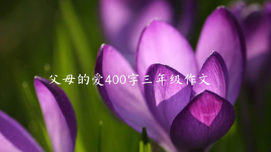 父母的爱400字三年级作文