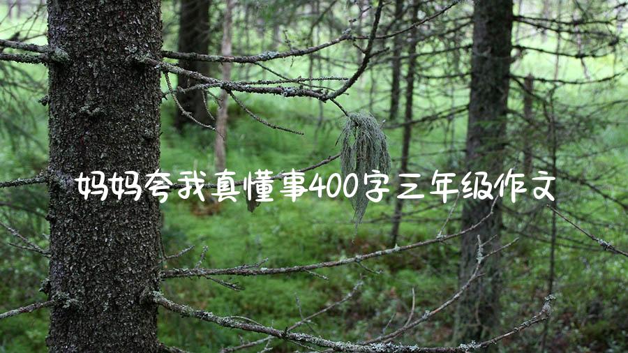 妈妈夸我真懂事400字三年级作文