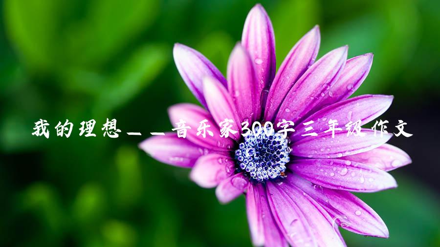 我的理想——音乐家300字三年级作文