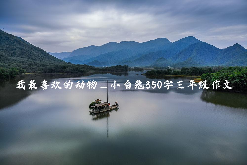 我最喜欢的动物—小白兔350字三年级作文