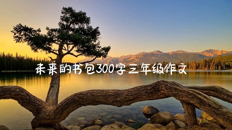 未来的书包300字三年级作文