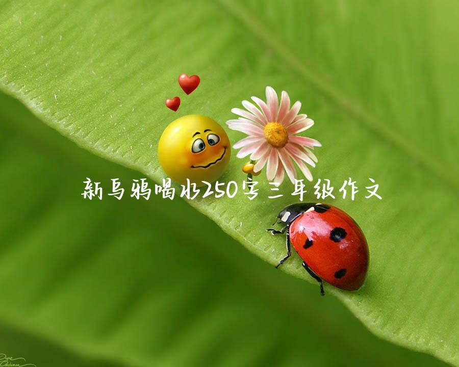 新乌鸦喝水250字三年级作文